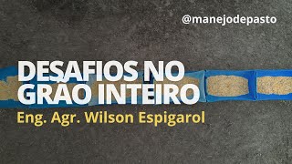 COMO INICIAR CONFINAMENTO DE GADO NO ALTO GRÃO ou PURO GRÃO [upl. by Solrak964]