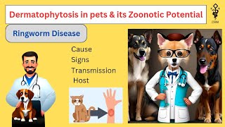 Dermatophytosis  A Pet Zoonotic Disease Dogs amp Humans Ringworm zoonotic potential [upl. by Merrili]