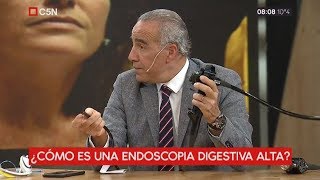 ¿Cómo se realiza una endoscopía digestiva alta [upl. by Alidia]