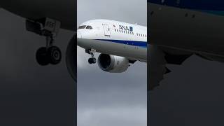 allnipponairways unseamed landing [upl. by Efar689]