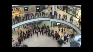 An unforgettable flash mob sings [upl. by Debera696]