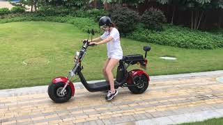 Big Harley Citycoco IV Electric Scooter 1000W 60V  Rental quotCarquot Review [upl. by Nakeber487]