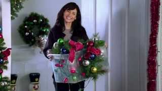 PetSmart commercial  2011 Holiday Campaign quotHoliday Lightsquot [upl. by Warford262]