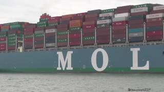 MOL Triumph 16 Worlds Largest Containership Maiden Call Southampton 11517 [upl. by Geoffrey]