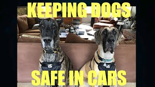 KEEPING DOGS SAFE IN CARS  Kurgo Car Safety Harness [upl. by Aifoz953]