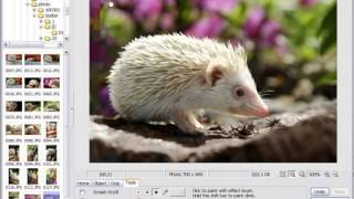 Photoscape Effect Brush Tutorial [upl. by Inaliak]