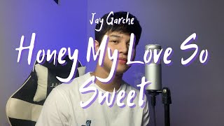 Jay Garche  Honey My Love So Sweet April Boys  Cover [upl. by Atinod438]