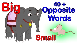 40 Opposite Words For Kids  Learn Opposites For Kids I Preschool Learning Videos  Kindergarten [upl. by Enybor]