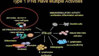 Hepatitis C Virus Infection and Immunity [upl. by Arbrab]