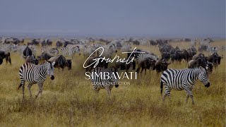 The Wildebeest Migration Arrives at Simbavati Grumeti [upl. by Iroak875]