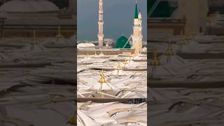 madina sharif live madina sharif live new madina masjid nabawi 🕌 [upl. by Leunamnauj285]