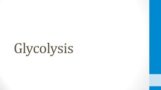 Biochem 22 Glycolysis [upl. by Reffineg890]