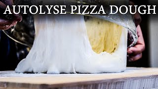 No Music How To Make Perfect Neapolitan Pizza Dough With Autolyse  Autolyse Pizza Dough Recipe [upl. by Animrelliug]