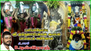 புளியந்தோப்பு ஸ்ரீ முத்துமாரியம்மன் ஆலயம் பால்குடம்  Puliyanthope Muthumariamman puliyanthoppu [upl. by Nnairahs]