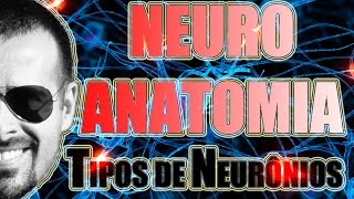 Tipos de neurônios Multipolar Bipolar e PseudoUnipolar  Sistema Nervoso  Vídeo Aula 090 [upl. by Ann-Marie]