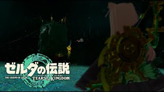 🔴未開封で1年寝かせたティアキン遊ぶぞ配信28【ゼルダの伝説 ティアーズオブザキングダム】 [upl. by Sirrom618]