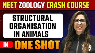 STRUCTURAL ORGANISATION IN ANIMALS in 1 Shot  Pure English  Everything Covered  NEET Crash Course [upl. by Latimer306]