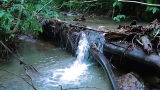 Calming River Sounds for Sleep  ASMR Water Ambience for Restful Night [upl. by Cappella]