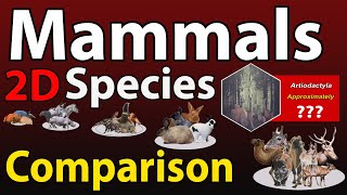 Mammals Species Comparison in 2023  List of Mammals species in the world in 2023 [upl. by Illom563]