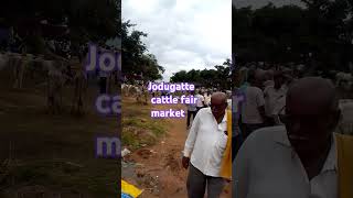 Jodugatte cattle fair market AGRIANIMALS [upl. by Lanta]