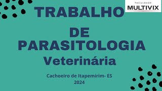 Trabalho de parasitologia veterinária Dirofilaria immitis 4º periódo 2024 [upl. by Bonnette942]