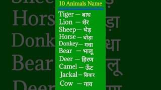 10 animals name in english  10 pet animals name in english and hindi shorts [upl. by Shea]