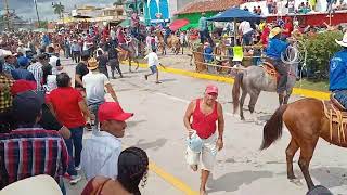 Toros Sueltos en Tlacotalpan 2024 Suelta de Toros [upl. by Roane]