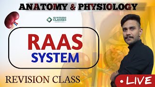 THE RAAS SYSTEM  anatomy and physiologyTHE URINARY SYSTEM [upl. by Abocaj]