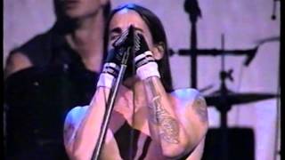 Red Hot Chili Peppers Madison Square Garden NYC 1996 [upl. by Jovitta]