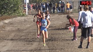 2015 XC  CIFss Cross Country Prelims  D1 Girls Heat 2 Race 4 [upl. by Ihcego]