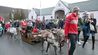 Christmas 2019 Reindeer parade pulling sleigh through Braemar in Cairngorms Aberdeenshire Scotland [upl. by Wendell731]