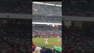 Los Angeles Angels Luis Rengifo Hits A Single at Angels Stadium [upl. by Kcirreg]