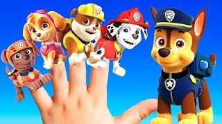 PAW PATROL Kids Song BEST Nursery Rhymes For Children  Keiki Kids Songs [upl. by Sadiras534]