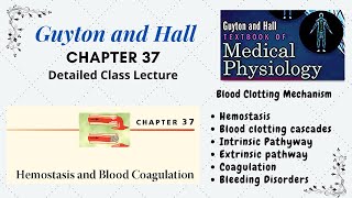 Guyton Chapter 37  Hemostasis Clotting factors  Coagulation  Intrinsic and Extrinsic pathways [upl. by Beauvais]