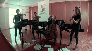 Led Zeppelin  Kashmir cover  Palladio String Quartet [upl. by Cann527]