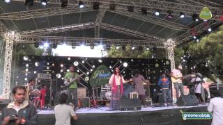 VIDWAN live at the mad festival song 2 [upl. by Yreffej]