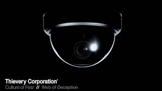 Thievery Corporation  Web of Deception Official Audio [upl. by Georglana634]