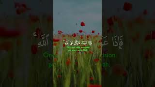 alkareem alquran duet beautifulrecitaion [upl. by Eesdnyl497]