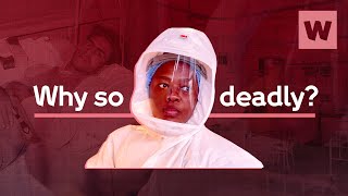 Why is TB still the deadliest infectious disease  Wellcome [upl. by Eelloh]