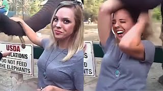 Instant Regret Compilation 10  Funny Fails [upl. by Libbna]