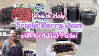 Triple Berry Jam from Frozen Fruit  No Pectin Needed  No Canning required [upl. by Chloette]