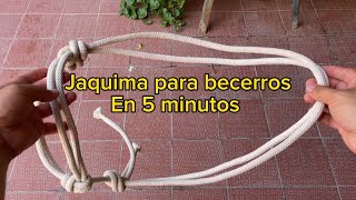 Bonita jáquima para becerros en 5 minutos [upl. by Janessa]