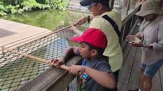 Feeding Gators at the Gatorland Orlando Florida [upl. by Senn]