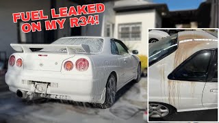 Detailing My R34 Skyline  It was AWFUL [upl. by Naret]