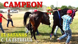 CARRERAS DE CABALLOS GRAN FINAL FUTURITY 2018 [upl. by Parthinia776]