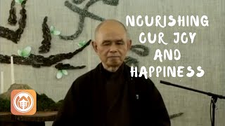 Nourishing Our Joy amp Happiness  Thich Nhat Hanh short teaching video [upl. by Arlena]