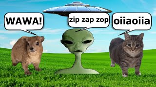 Hyrax and oiiaoiia spinning cat vs Alien Speaking Meme [upl. by Wiltz]