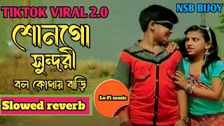 Suno go sundori। শোনগো সুন্দরী Tipu sultan viral song 2024 slowed reverb tiktok version nsb bijoy [upl. by Stander]