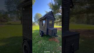 Worlds smallest unique house shortsvideo [upl. by Jolanta]