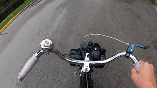 1970 Solex S3800  running video [upl. by Myrilla195]